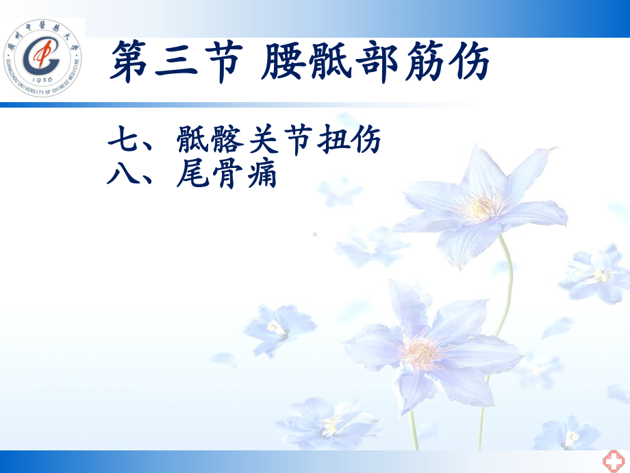 骶髂关节扭伤和尾骨痛课件.ppt_第1页