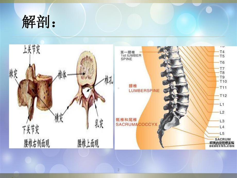 腰椎压缩骨折护理查房PPT课件.pptx_第2页