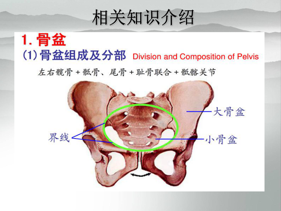 骨盆骨折病人的护理查房课件.ppt_第3页