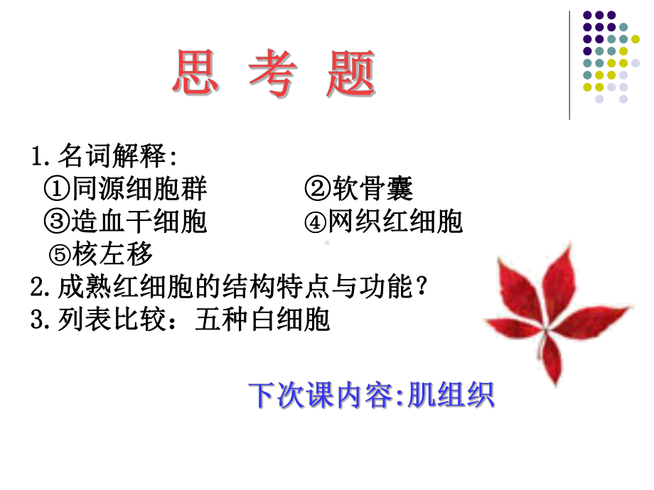 组织胚胎学 软骨与血液课件.ppt_第1页