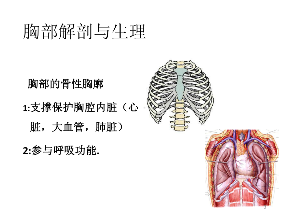 胸外科常见疾病肋骨骨折与气胸PPT课件.ppt_第3页