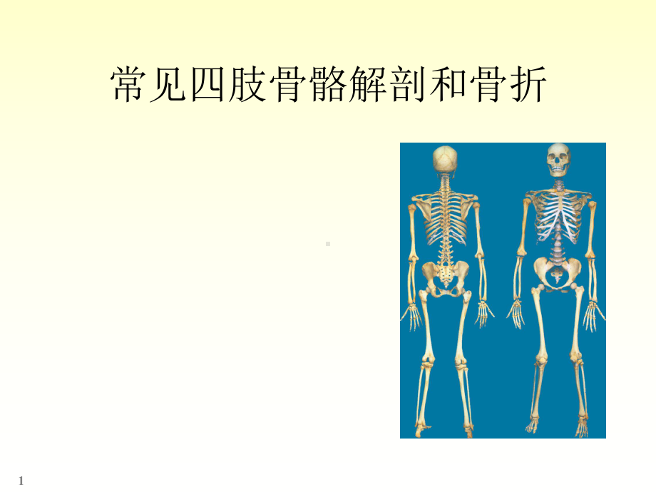 四肢骨骼解剖和骨折PPT课件.ppt_第1页