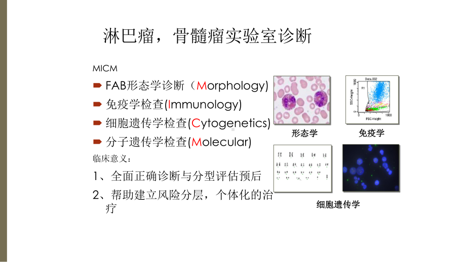 最新FISH检测在淋巴瘤骨髓瘤个体化治疗中的应用主题讲座课件.ppt_第2页