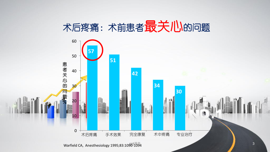 骨科大手术后疼痛管理新策略-ppt课件.ppt_第3页