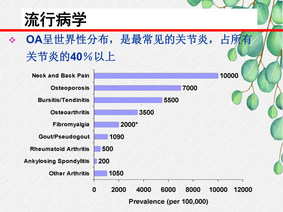 骨关节炎定义、流行病学和诊断课件.ppt_第3页