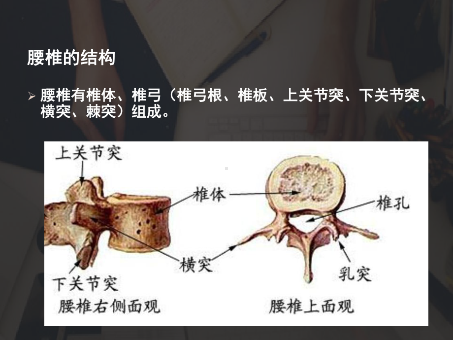 骨科护理查房-ppt课件.ppt_第2页