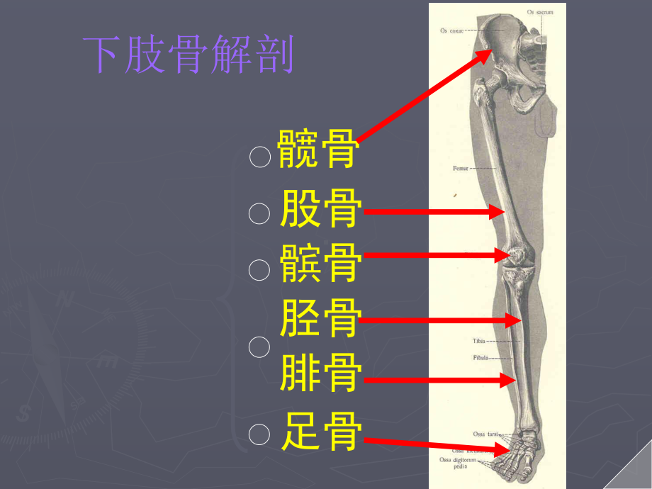 qq下肢骨折术后功能锻炼课件.ppt_第2页