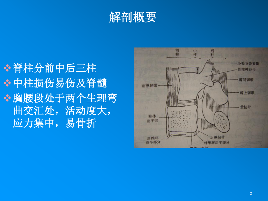 脊柱骨折和脊髓损伤课件.ppt_第2页