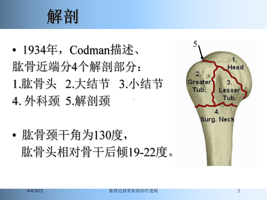 肱骨近段骨折的治疗进展培训课件.ppt_第2页