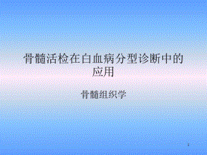 骨髓活检PPT参考幻灯片课件.ppt