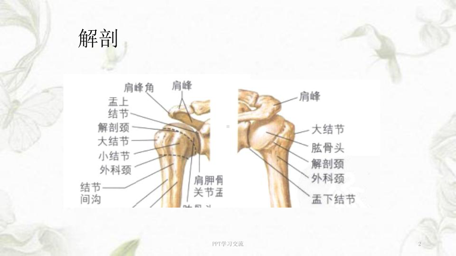 肱骨近端骨折教案PPT课件.ppt_第2页