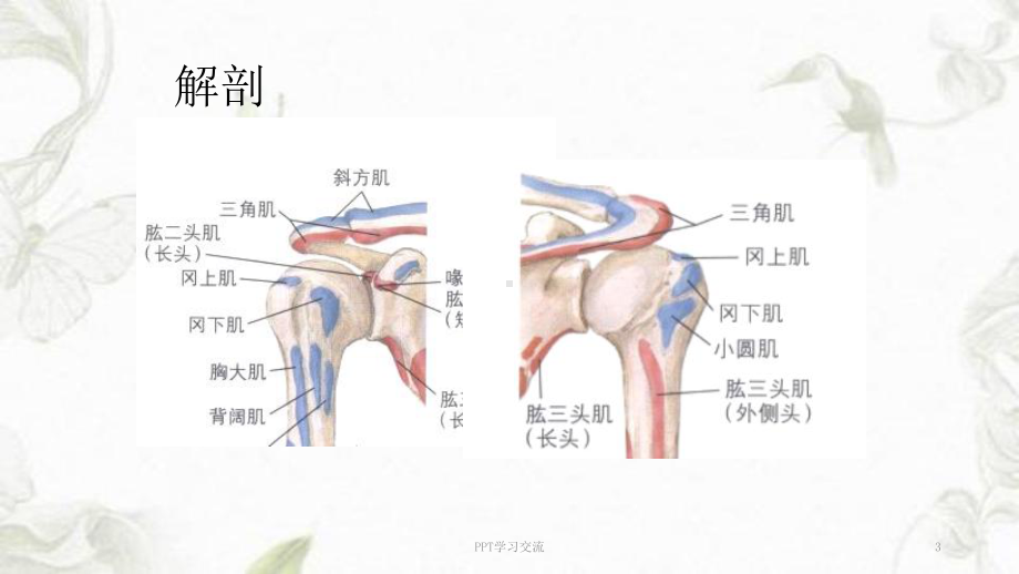 肱骨近端骨折教案PPT课件.ppt_第3页