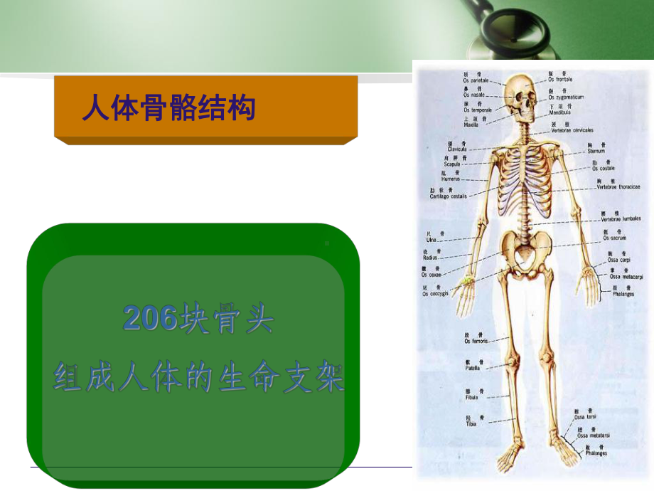 红外灯针对骨关节使用ppt课件.ppt_第2页