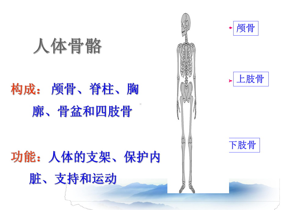 现场急救之骨折PPT课件.ppt_第3页