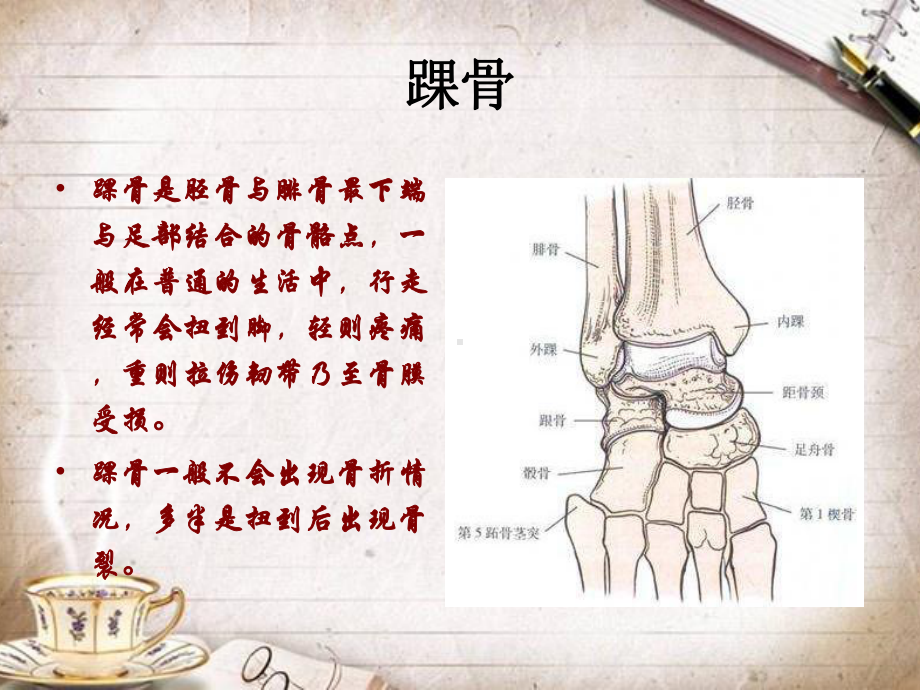 踝关节骨折的护理查房课件1.ppt_第2页