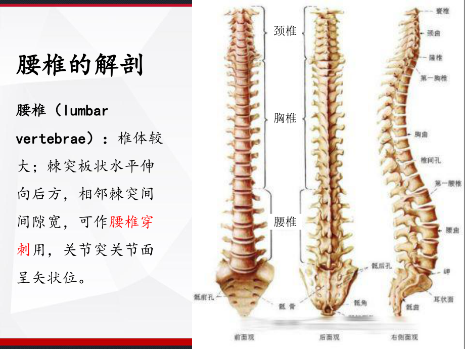 腰椎骨折病人的护理-PPT课件.ppt_第3页