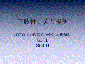 外科学课件下肢骨、关节损伤.ppt