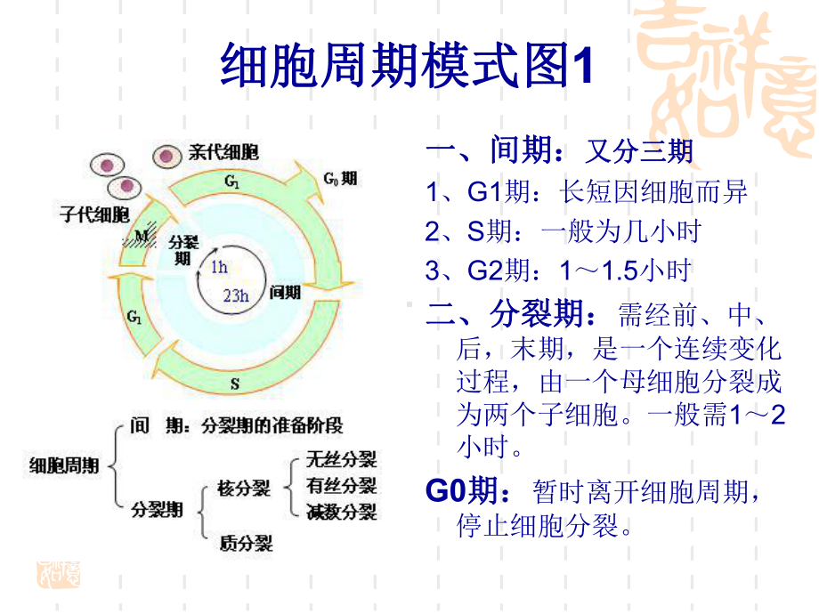 化疗药物骨髓抑制的分度、治疗和护理课件1.ppt_第3页