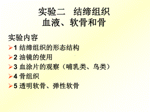 [农学]动物组织胚胎学实验二 结缔组织 血液、软骨和骨课件.ppt