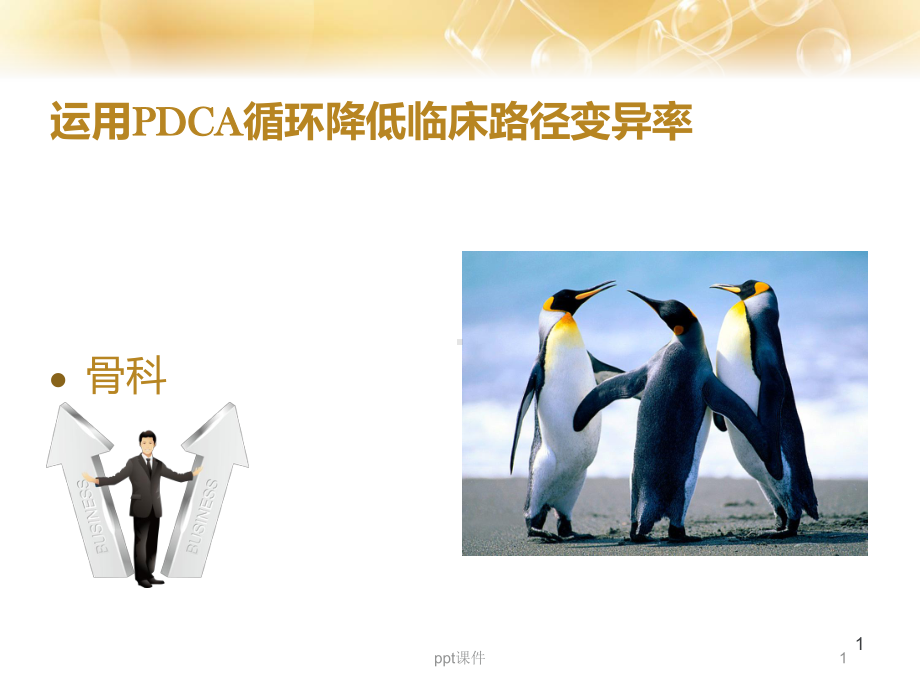 运用PDCA循环降低临床路径变异（骨科）-pp课件.ppt_第1页