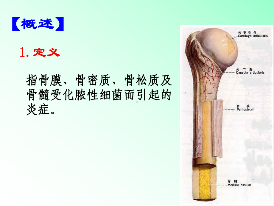 第四十八章-骨与关节感染(1)课件.ppt_第3页