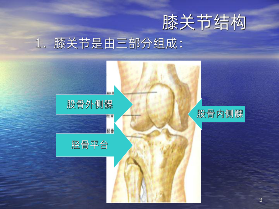 膝骨性关节炎ppt课件.ppt_第3页