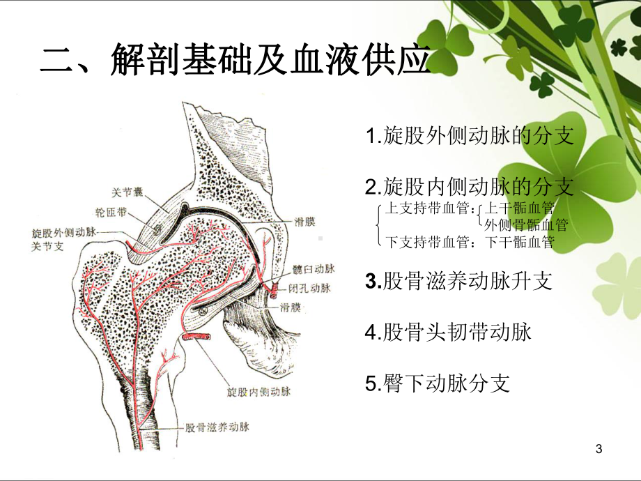 股骨头缺血坏死PPT课件1.ppt_第3页