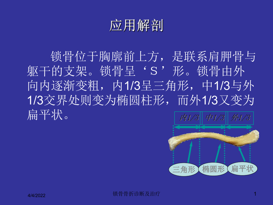 锁骨骨折诊断及治疗培训课件.ppt_第1页