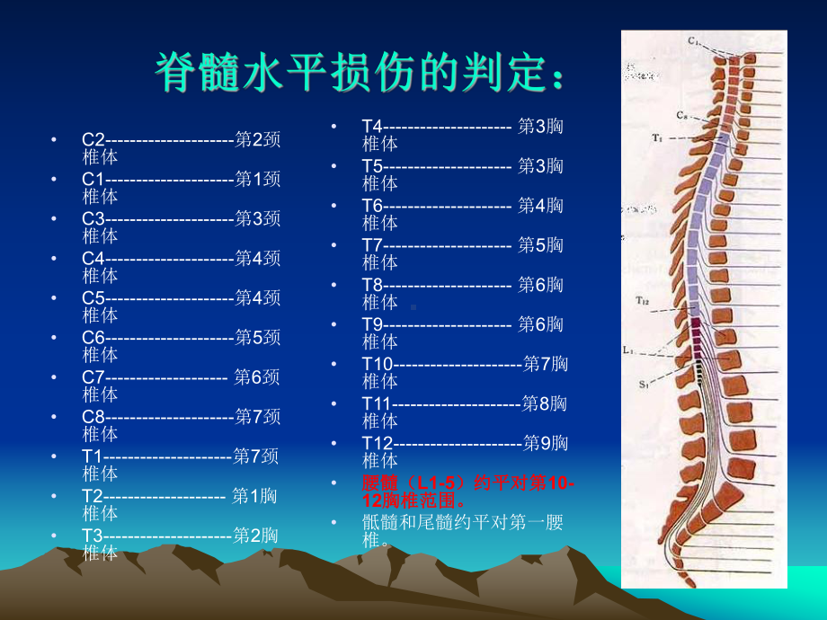 椎骨骨折后患者残存功能.ppt课件.ppt_第2页