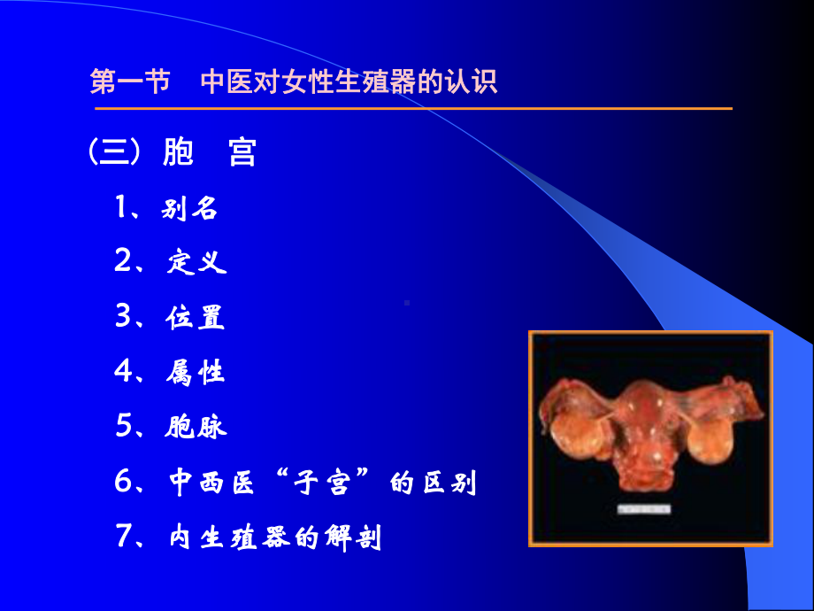 骨盆底的解剖熟悉-安徽中医药高等专科学校课件.ppt_第2页