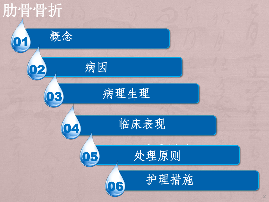 肋骨骨折护理ppt课件1.ppt_第2页