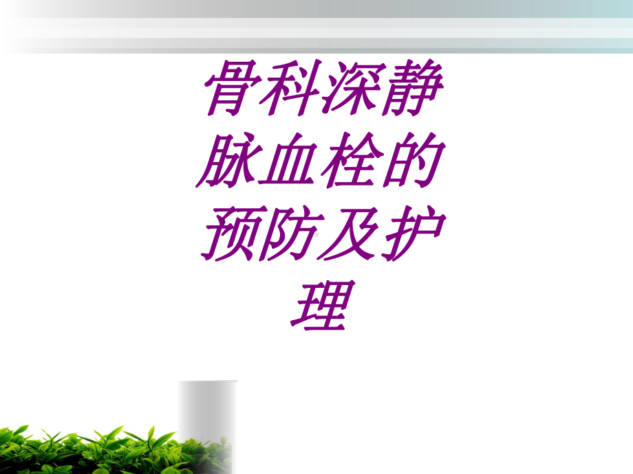 骨科深静脉血栓的预防及护理PPT培训课件.ppt_第1页