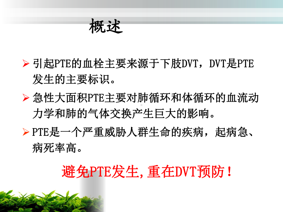 骨科深静脉血栓的预防及护理PPT培训课件.ppt_第3页