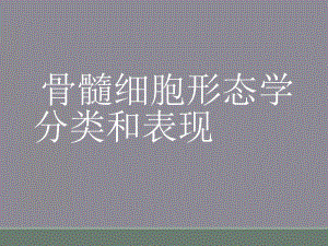 骨髓细胞形态学分类和表现课件.ppt