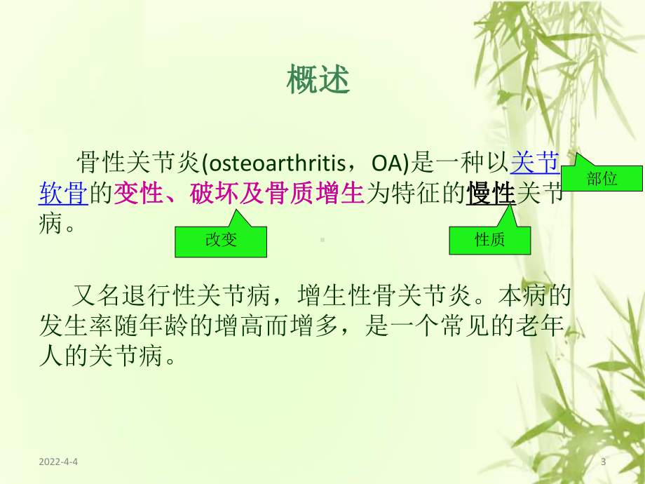 骨性关节炎护理PPT课件.ppt_第3页