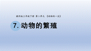 小学科学教科版三年级下册第二单元第7课《动物的繁殖》课件20（2020新版）.pptx