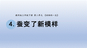 小学科学教科版三年级下册第二单元第4课《蚕变了新模样》课件20（2020新版）.pptx