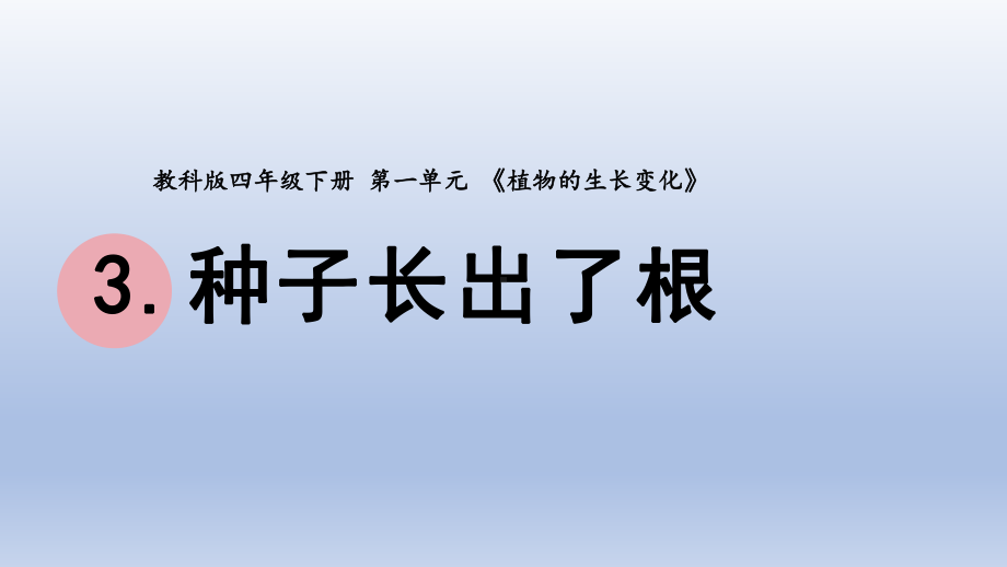 小学科学教科版四年级下册第一单元第3课《种子长出了根》课件20（2022新版）.pptx_第1页