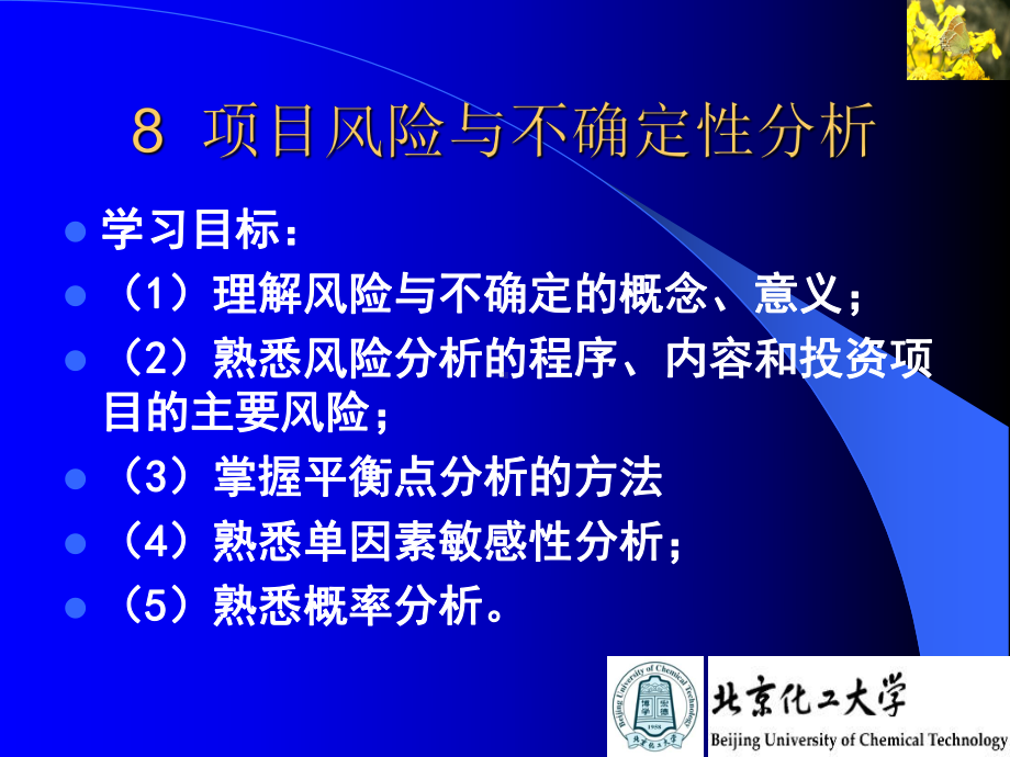 《光学信息处理》课件：第8章 项目风险与不确定性分析.ppt_第3页