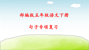 统编版小学语文五年级下册句子专项复习课件.pptx