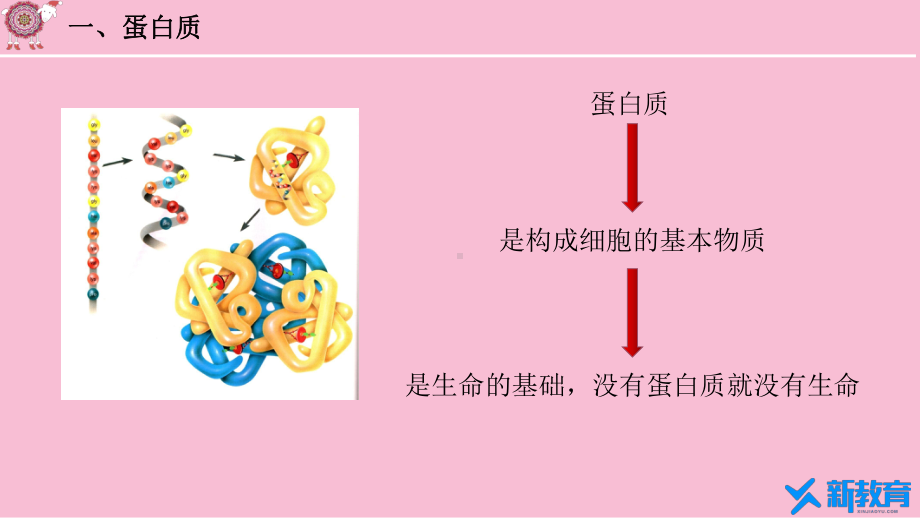 课件1：7.4.2 蛋白质 油脂 （人教版高中化学 必修第二册 ）.pptx_第2页