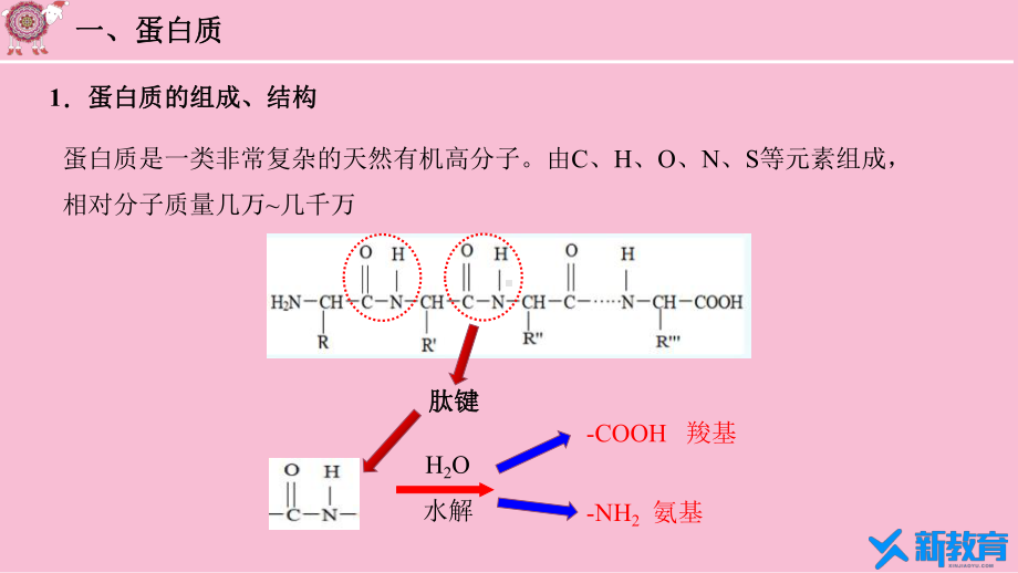 课件1：7.4.2 蛋白质 油脂 （人教版高中化学 必修第二册 ）.pptx_第3页