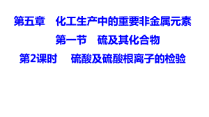 （2019）新人教版高中化学必修二5.1.2 硫酸-ppt课件.pptx