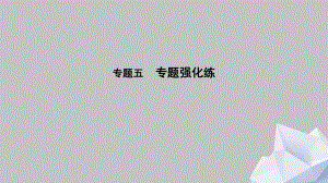 专题五 专题强化练.pptx