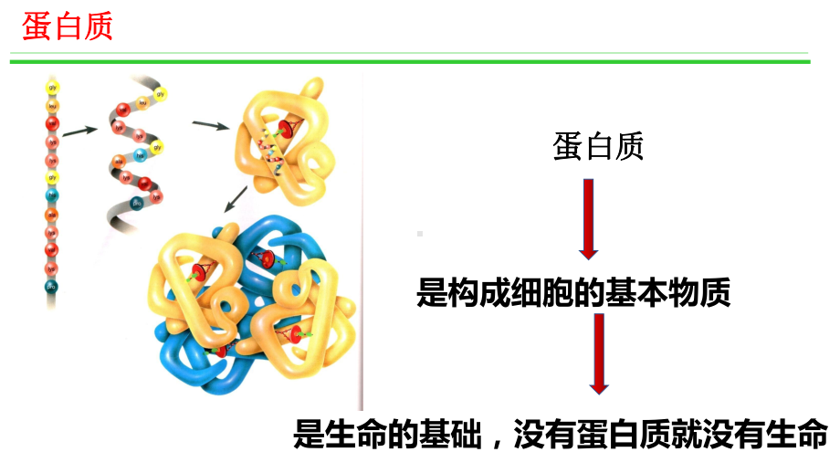 （2019）新人教版高中化学必修二7.4基本营养物质-第2课时-ppt课件.pptx_第2页