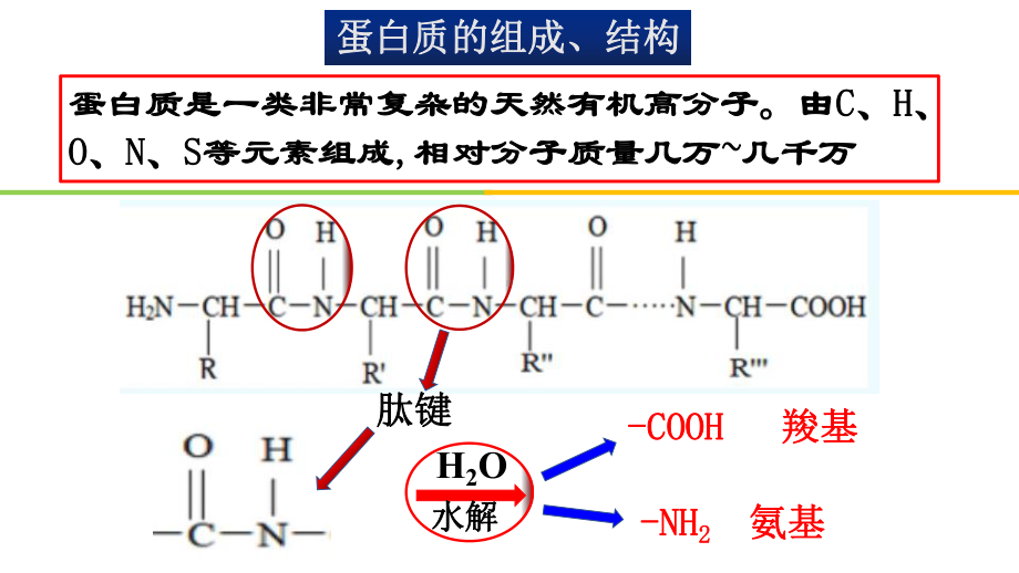 （2019）新人教版高中化学必修二7.4基本营养物质-第2课时-ppt课件.pptx_第3页