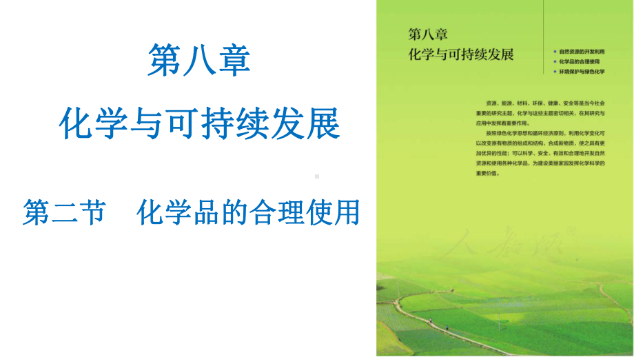 （2019）新人教版高中化学必修二第八章 化学与可持续发展 第二节 化学品的合理使用 ppt课件.pptx_第1页