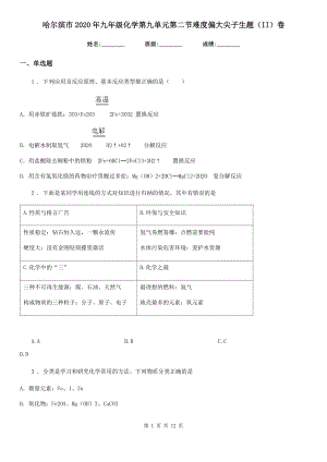 哈尔滨市2020年九年级化学第九单元第二节难度偏大尖子生题(II)卷.doc