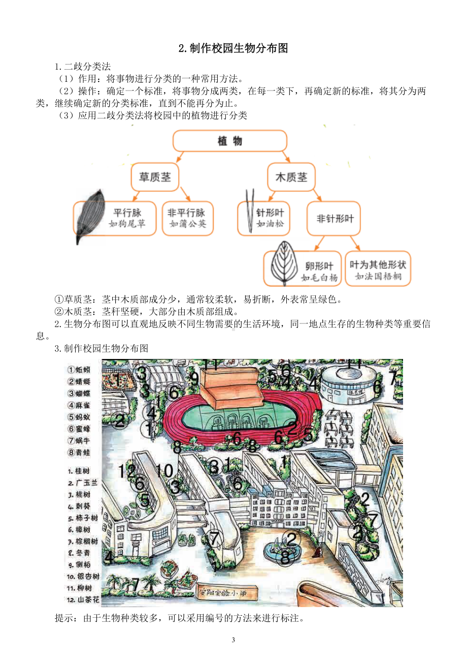 小学科学教科版六年级下册第二单元《生物我多样性》知识点整理3（2022新版） - 复件(1).doc_第3页