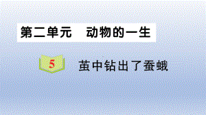 小学科学教科版三年级下册第二单元第5课《茧中钻出了蚕蛾》作业课件2（2020新版）.ppt